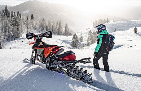 polaris timbersled